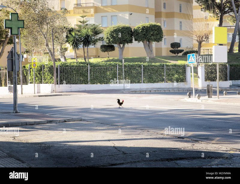 Chicken road 2 juego - Descubre la Experiencia de Chickn Road 2 en los Casinos de España Ahora